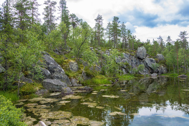 Similar image 13316477