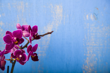 Similar image 13315499