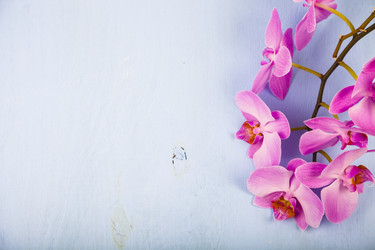 Similar image 13315574