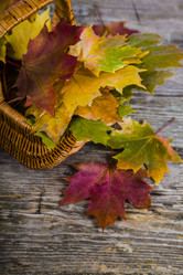 Similar image 13309293