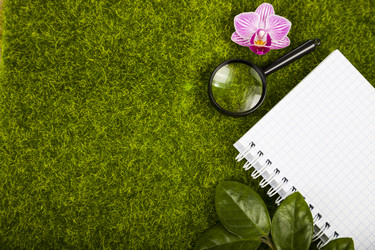 Similar image 13309297