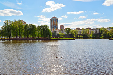 Similar image 13316259