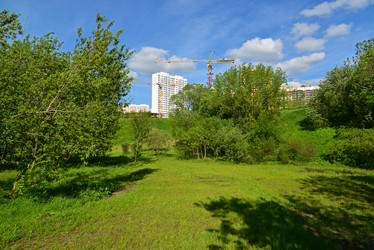 Similar image 13316262