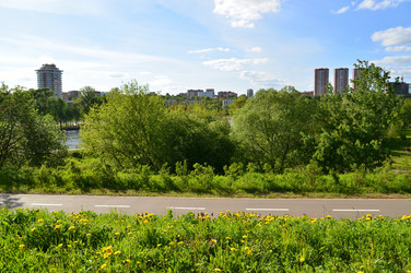 Similar image 13309054