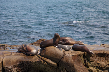 Similar image 13308726