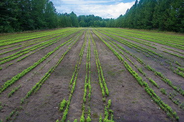 Similar image 13315984