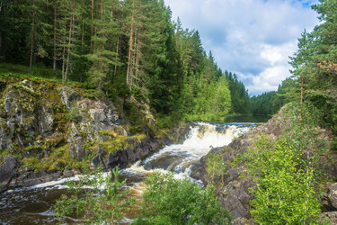 Similar image 13315993