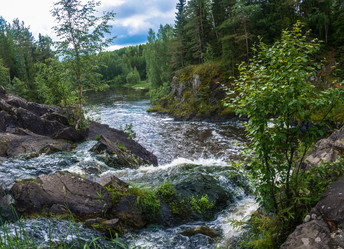 Similar image 13315996