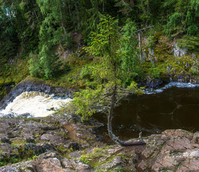 Similar image 13316040