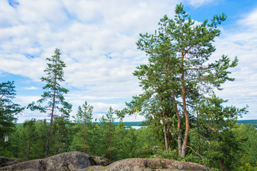 Similar image 13316047