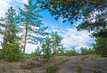 Similar image 13316019