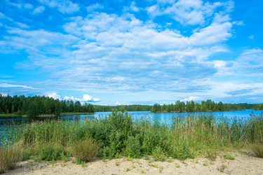 Similar image 13316038