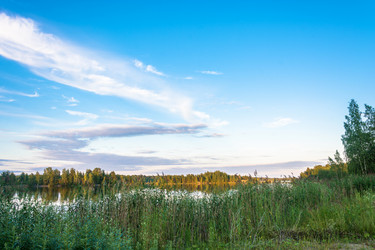 Similar image 13316044