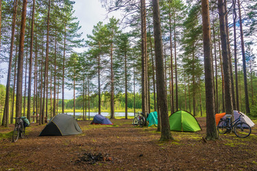 Similar image 13316440