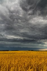 Similar image 13316272