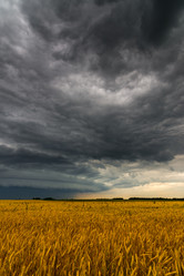 Similar image 13316274