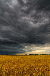 Similar image 13316276