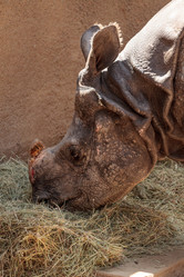 Similar image 13308728