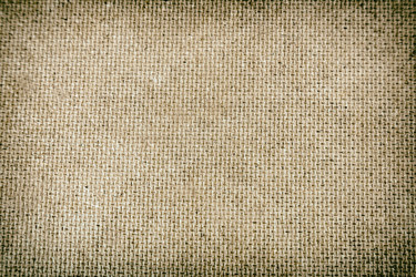 Similar image 13308293