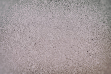 Similar image 13308296