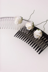 Similar image 13309690