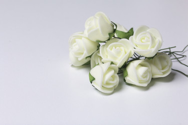 Similar image 13309696