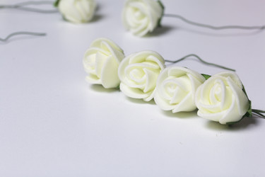 Similar image 13309710