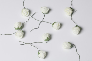 Similar image 13309711