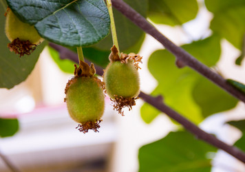 Similar image 13296473