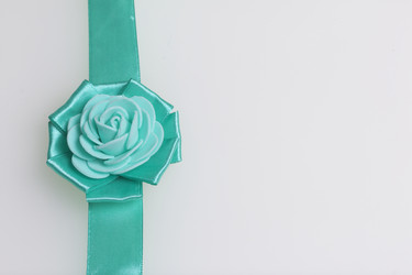 Similar image 13309715