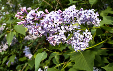 Similar image 13289566