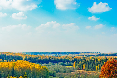 Similar image 13315617