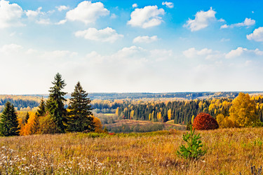 Similar image 13315619