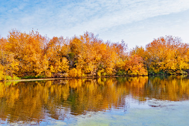 Similar image 13315636