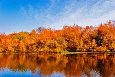 Similar image 13315659