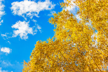 Similar image 13315684