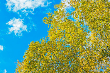 Similar image 13315687