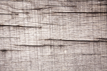 Similar image 13308671