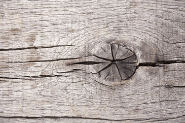 Similar image 13308683