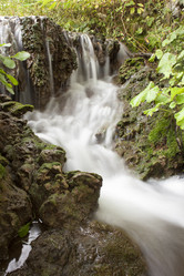 Similar image 13316337