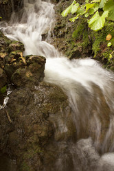 Similar image 13316346