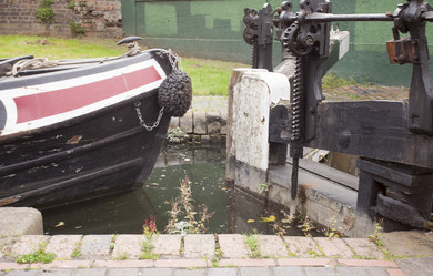 Similar image 13316349