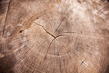 Similar image 13308687