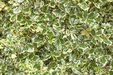 Similar image 13316317