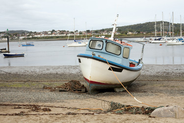 Similar image 13316348