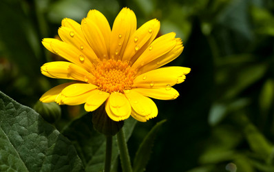 Similar image 13289570