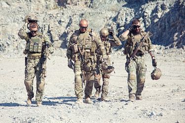 Similar image 13311476