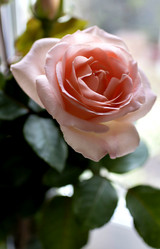 Similar image 13289571