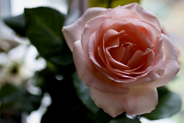 Similar image 13289572