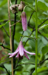 Similar image 13295074